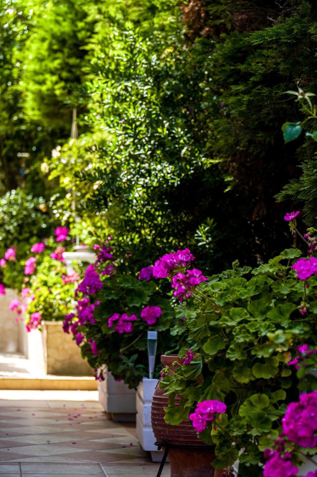 Cozy Artemis House Near Athens Airport Apartment Exterior photo